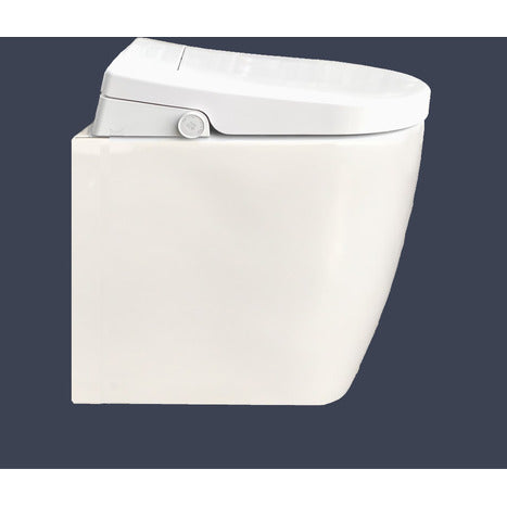 Bidet shower toilet: Floor standing back to wall: GFR-6500-CH