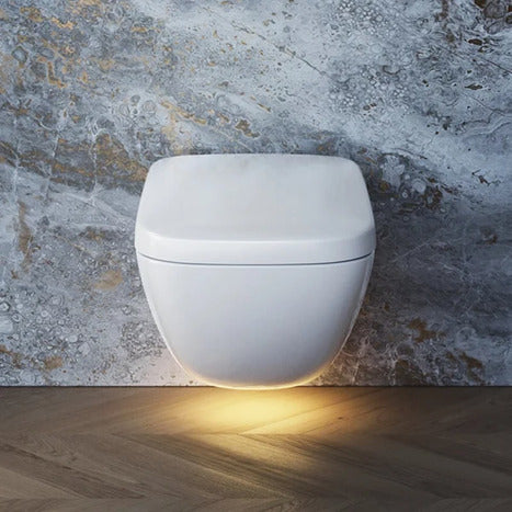Complete set: Toto Neorest WX1 Washlet + Toto wall frame with Automatic Flush + Flush Plate and connection kit