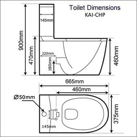 CCP-6300-CH: Bidet Shower Washing Toilet