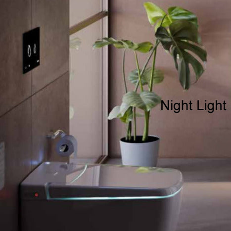 PBV-8000: Monolith Close Coupled Smart Japanese Bidet Shower Toilet
