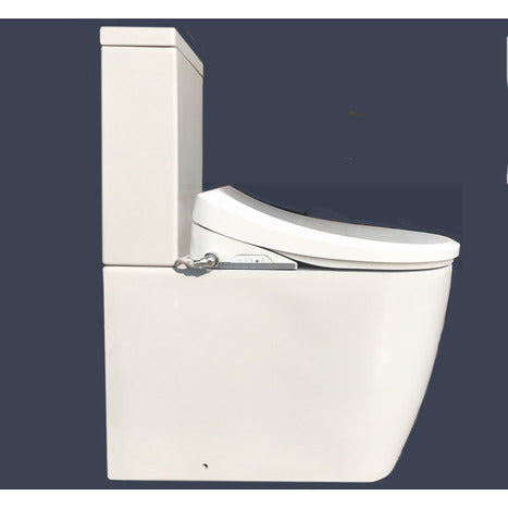 CCP-6300-CH: Bidet Shower Washing Toilet
