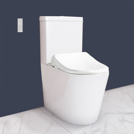 CCP-6300-CH: Bidet Shower Washing Toilet