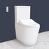 CCP-6300-CH: Bidet Shower Washing Toilet
