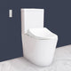 CCP-6300-CH: Bidet Shower Washing Toilet