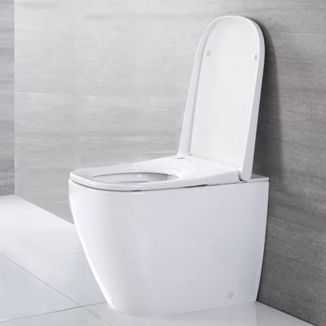 Japanese style smart toilet bidet