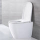 Japanese style smart toilet bidet