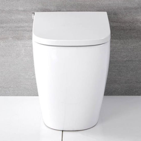 Japanese style smart toilet bidet