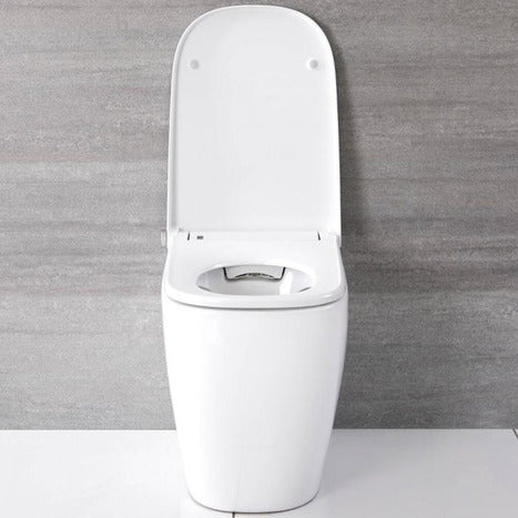 Japanese style smart toilet bidet