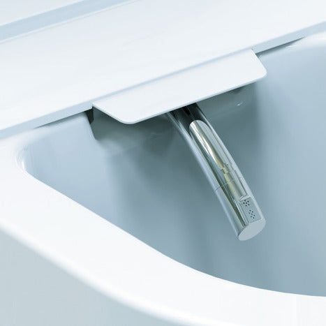 Japanese style smart toilet bidet