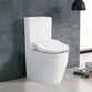 Extended Height Non-Electric Bidet Toilet