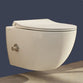 Vitra Aquacare Sento Bidet Toilet with Thermostatic Stop Valve