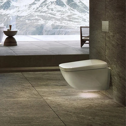 Complete set: Toto Neorest WX1 Washlet + Toto wall frame with Automatic Flush + Flush Plate and connection kit