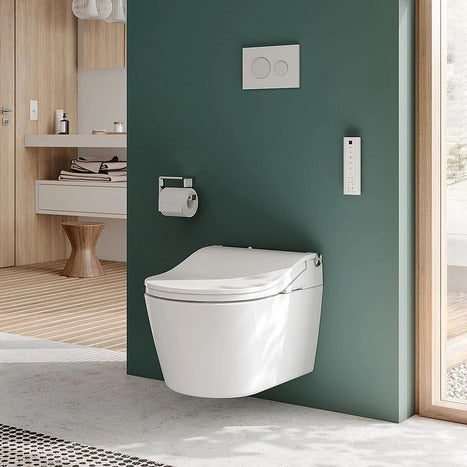 Complete set: Toto RW Washlet + Toto wall frame with Automatic Flush + Flush Plate and connection kit