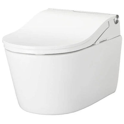 Complete set: Toto RW Washlet + Toto wall frame with Automatic Flush + Flush Plate and connection kit