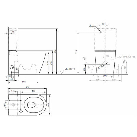 Complete set: TOTO RG Lite Washlet + TOTO wall frame + Dual Flush Plate and connection kit