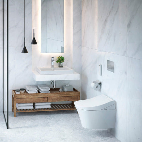 Complete set: TOTO RG Washlet + TOTO wall frame + Dual Flush Plate and connection kit