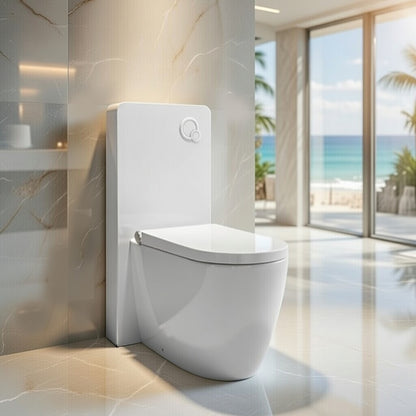 Japanese style smart toilet bidet