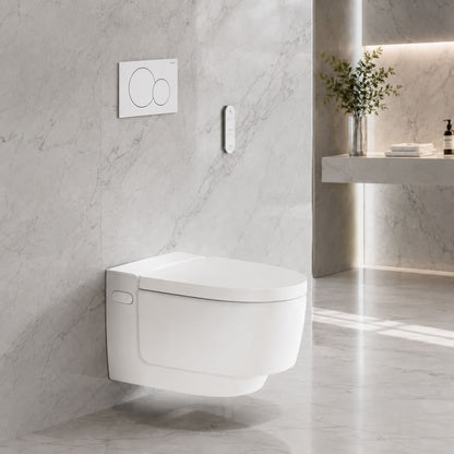 Complete set: Geberit AquaClean Mera Comfort Shower Toilet  + Wall frame. Air Purtfication + Flush Plate and connections