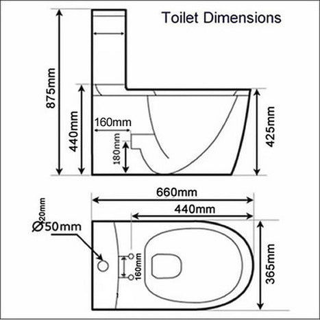CCP-6600-SH: Bidet Shower Smart Toilet
