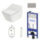 Complete set: Toto SX Washlet + Toto wall frame with Automatic Flush + Flush Plate and connection kit
