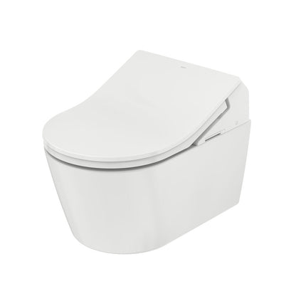 Complete set: Toto RX EWATER + Washlet + Toto wall frame with Automatic Flush + Flush Plate and connection kit