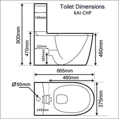 CCP-6300-CH: Bidet Shower Washing Toilet