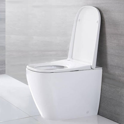 Japanese style smart toilet bidet